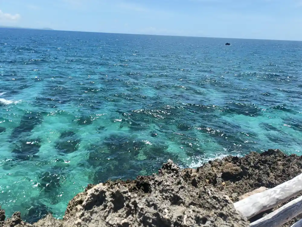 clear turquoise water over patchy reef seen from the rocks