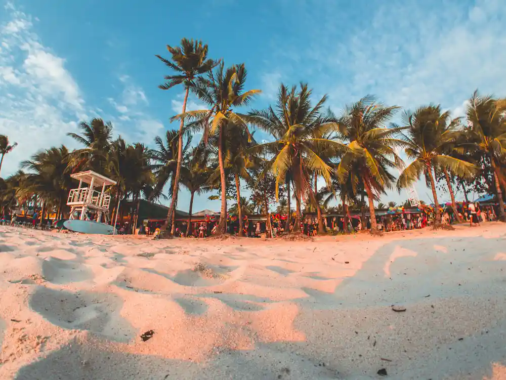 a curve of pale sand under coconut palms with beach huts behind