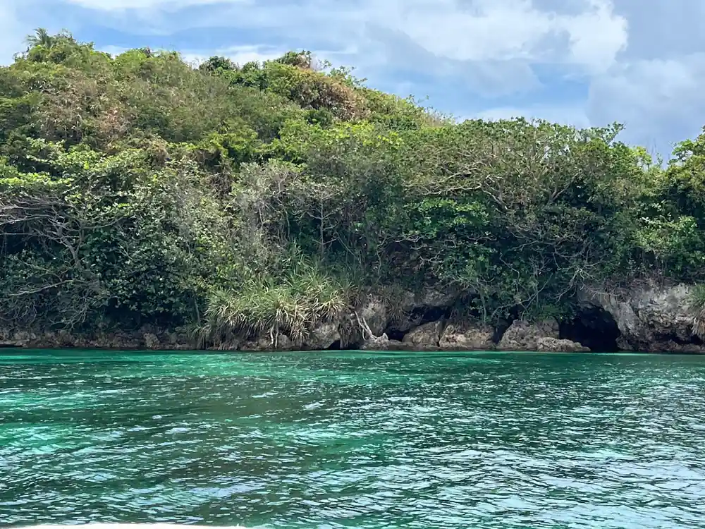 a green wooded island with rock at the waterline and clear shallows