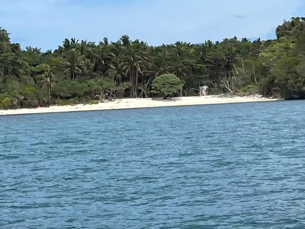 a long pale beach backed by dense coconut palms across the water