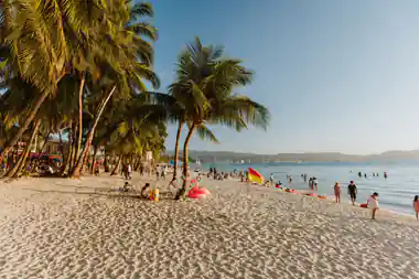 palms leaning over a busy white sand beach with swimmers in the shallows