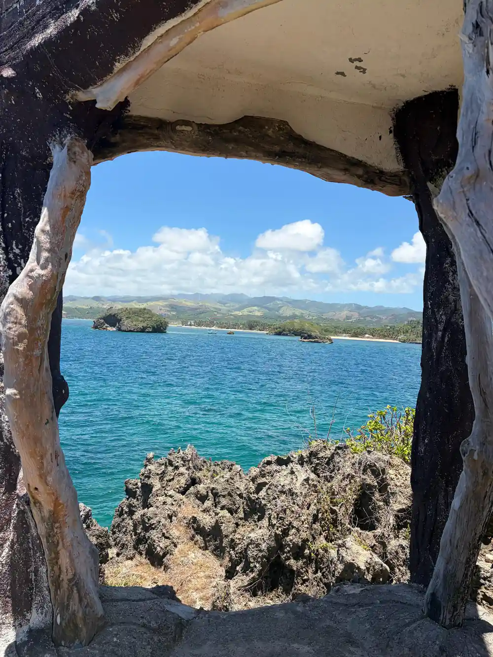 the sea and islands framed through a driftwood arch on the shore