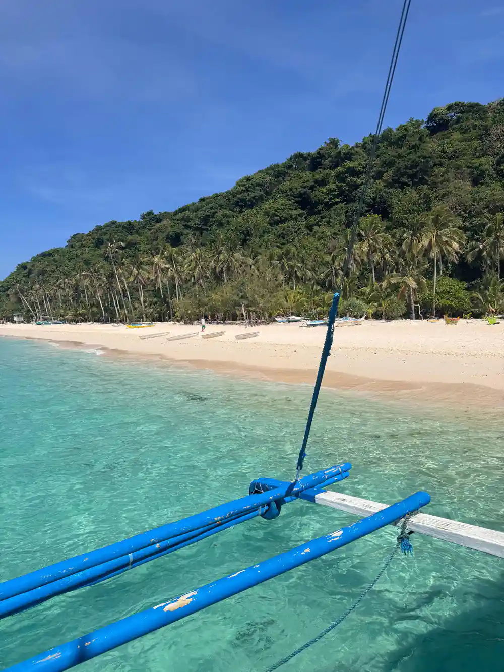 a wooded island shore seen past the blue outrigger arm of the boat
