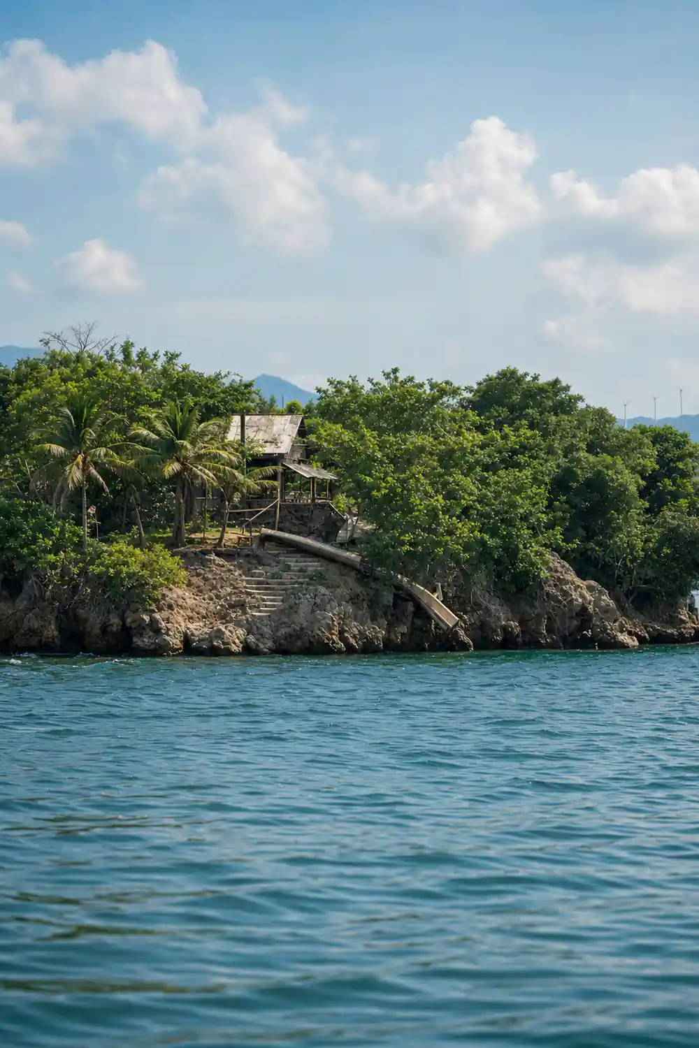 a wooded shore with huts among the trees seen from the water